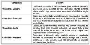 Níveis de Consciência Organizacional