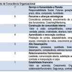 Níveis de Consciência Organizacional - Diagnóstico