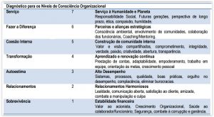 Níveis de Consciência Organizacional - Diagnóstico