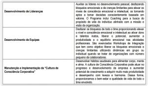 Resultados Consciência Corporativa