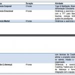 Workshops de Consciência Corporativa