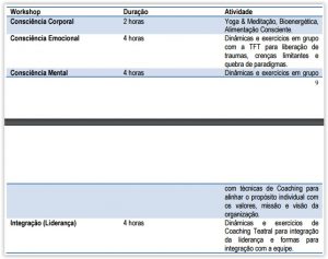 Workshops de Consciência Corporativa