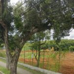 Res. Econômico - São José dos Campos-SP